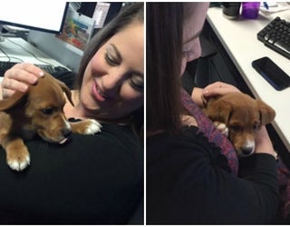 DogFriday_1466694134785.jpg