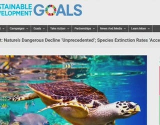 Earth_s_biodiversity_is_in_trouble_0_20190520224753-402970