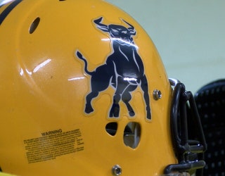 HELMET_1443673130183-403440.jpg