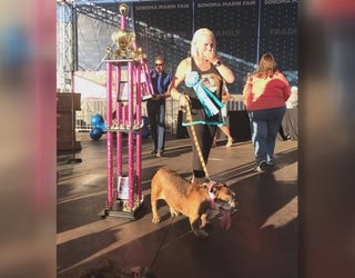 M-SUN UGLY DOG WINNER new_KMSP10b8_146.mxf_00.00.18.04_1529869646232.png-409162.jpg