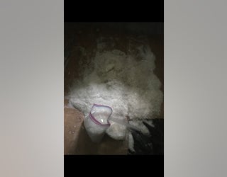 Meth Bust4_1505613339216.JPG