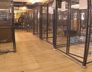 NOON TZ1 A WATER MAIN DEKALB ANIMAL SHELTER_00.00.30.17_1520458706398.png.jpg