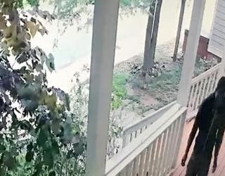 PORCHTHIEF4_1462245764002.jpeg