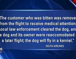 Passenger_attacked_by_service_dog_on_Del_0_20170604221518