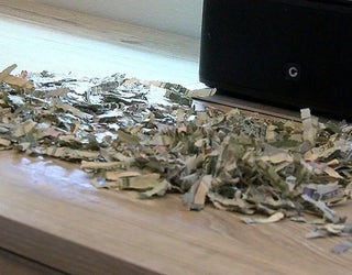 TX295-TODDLER SHREDS MONEY_00.00.04.03_1538761688823.png-405538.jpg