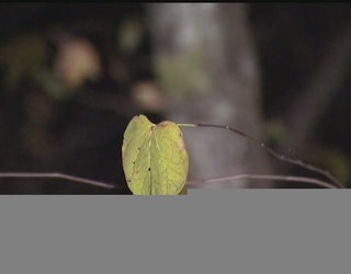 Toddler_Tied_Up_4_20151113033407