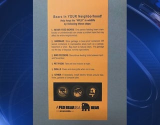 P DAHLONEGA BEAR SIGHTING 10P_00.01.13.18_1556591309368.png.jpg