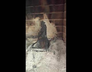 burnt log 3_1459352037352.jpg