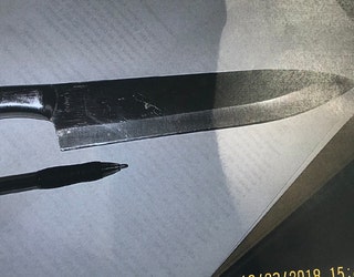 bartow pd_butcher knife_102418_1540396189917.jpg-401385.jpg