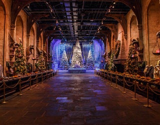 WTVT_hogwartschristmas_092118_1537549913762-401385.jpg