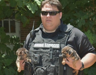 V LAGRANGE DOG HOARDING 10P _00.00.18.18_1559360136762.png.jpg
