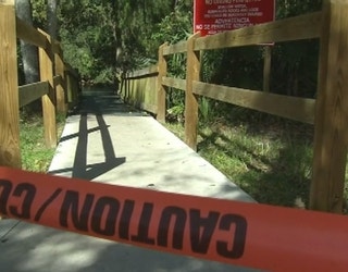 alligator-driver-missing_0005_1445289114702-402429.jpg