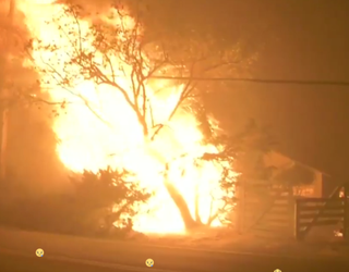 Napa fire 3_1507536890049-405538.PNG