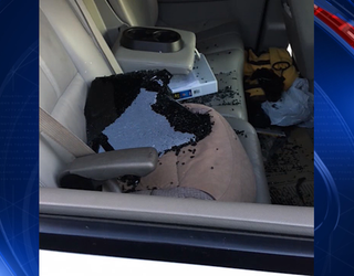 P FORSYTH CO FIREHOUSE VANDALS 5P _00.00.07.23_1489711504392.png