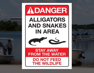 disney-alligator-snakes-sign_1466201805884-402429.jpg