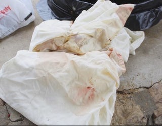 P FLOYD COUNTY ABUSED DOG 5P_00.01.00.19_1551828801629.png.jpg