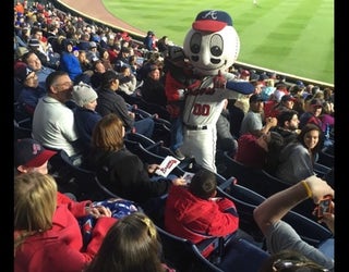 Homer the brave.. Homer the Atlanta Braves baseball mascot. Turner