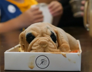 icecream333_1534727642715-407068.PNG