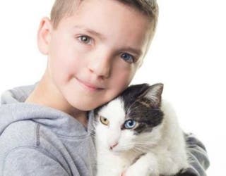 BOY AND CAT_1522436253038.jpg-401385.jpg