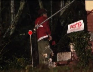 tree entrapment pic 6_1456316939295.jpg