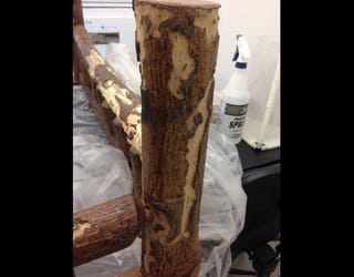 wood4_1484676555921-409162.jpg