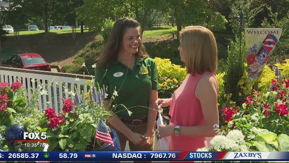 Patriotic container gardens with Pike Nurseries