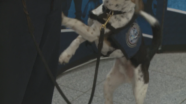 K-9s, handlers to retire from Atlanta's airport