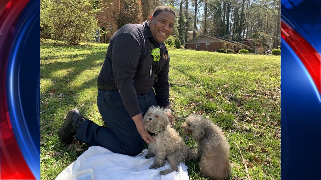 East Point firefighter rescues dog