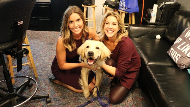 Max the dog visits 'The Bert Show'