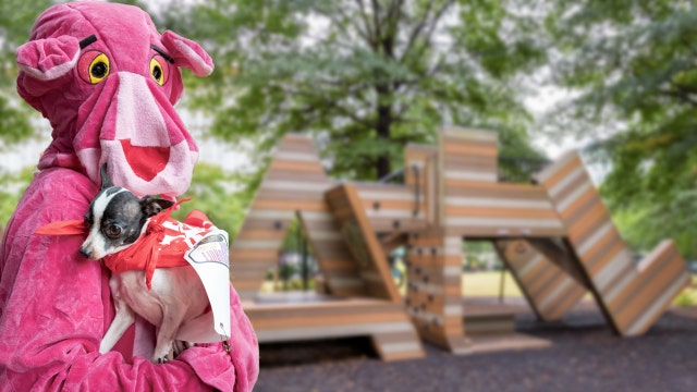 PHOTOS: Costumed dogs parade through downtown Atlanta