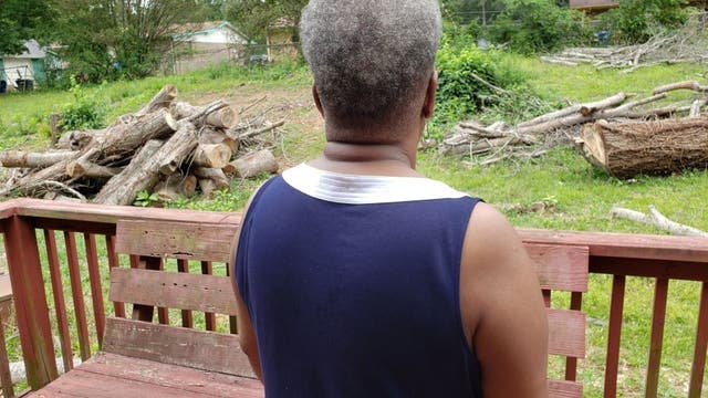 Don's Tree Experts owner busted on theft charges