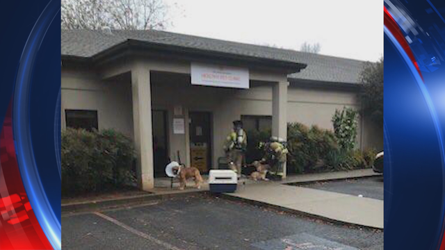 Animals rescued from Humane Society fire