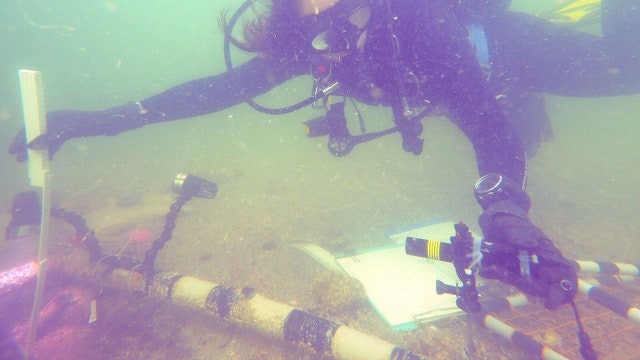 7,000-year-old native burial ground found in Gulf near Venice