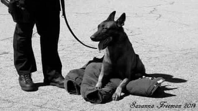 Memorial service for K9 Officer Falco
