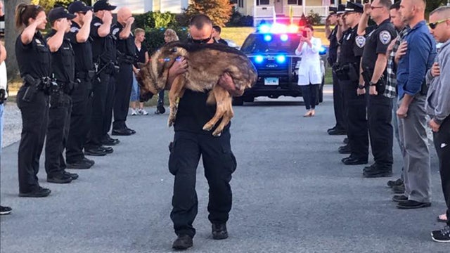 Emotional photo shows end of service for K9