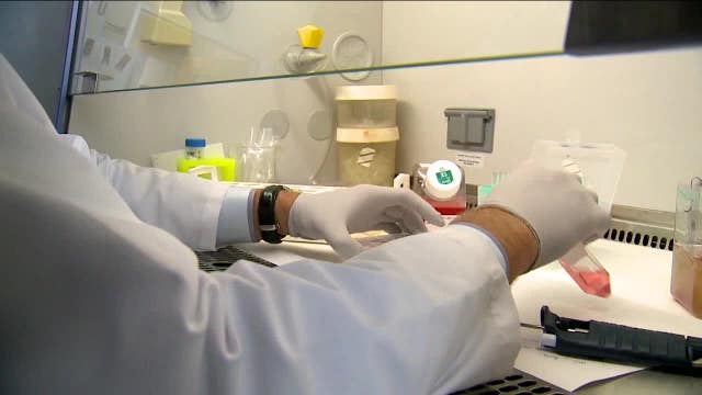 Scientists pinpoint "allergy cell" responsible for food and environmental allergies