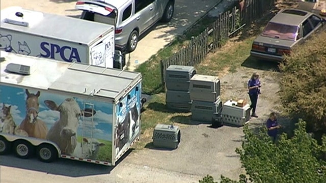 More than 140 animals removed from Balch Springs home
