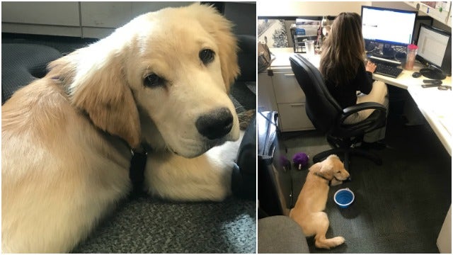 Max moves back to FOX 5 sales department