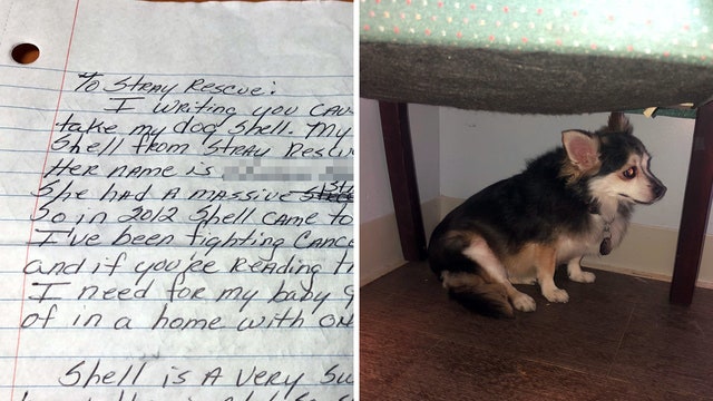 Cancer patient's final act was to find home for beloved dog