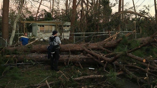 A call to arms: Tree cutters, volunteers needed in South Georgia