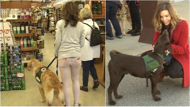 Max's FOX 5 foster team prepping for his arrival