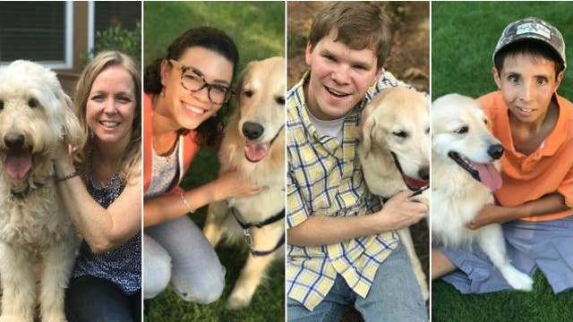 WATCH: Inspiring video highlights heroic service dogs and grateful owners