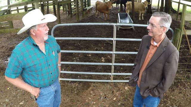 USDA Bans Gay, Georgia