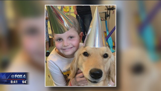 New therapy dog helping kids at Cook Children's