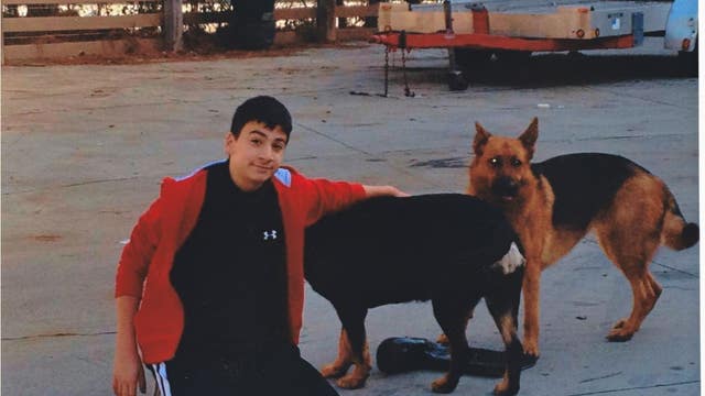 Gwinnett, Fulton animal shelters mistakenly kill dogs while advocates pleaded for their release