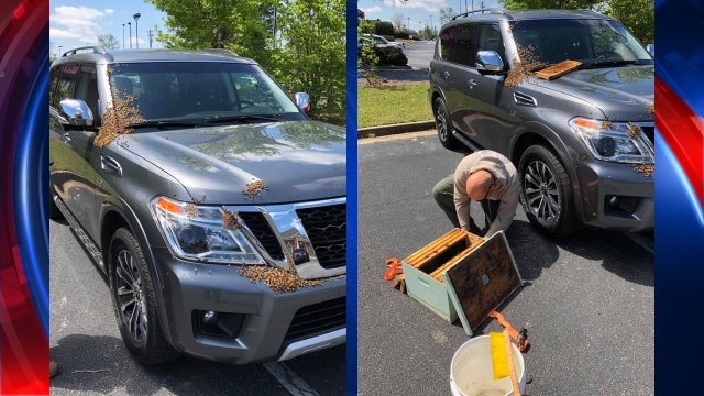 PHOTOS: Coweta police handle bee swarm on SUV