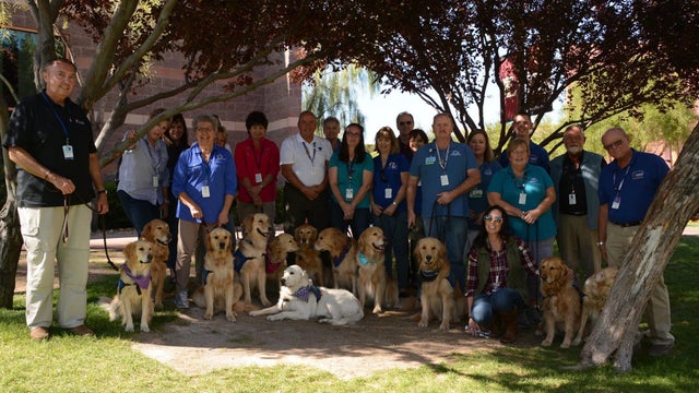 Therapy dogs help comfort those affected by Las Vegas shooting
