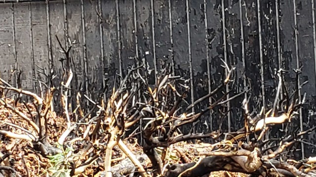 Fire officials say fireworks to blame for DeKalb County apartment fire