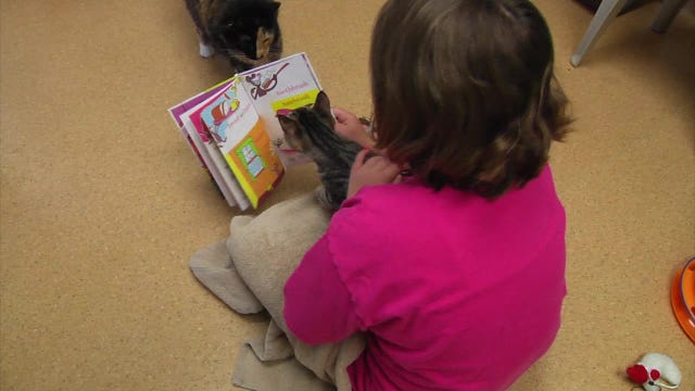 Atlanta program gives kids chance to practice reading with cats