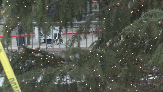 Centennial Olympic Park gets permanent Christmas Tree